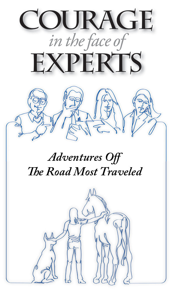 Book - Courage in the Face of Experts - Adventures Off The Road Most Traveld