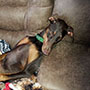 McKenna upside down on the recliner